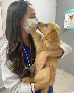 Dr. Brown