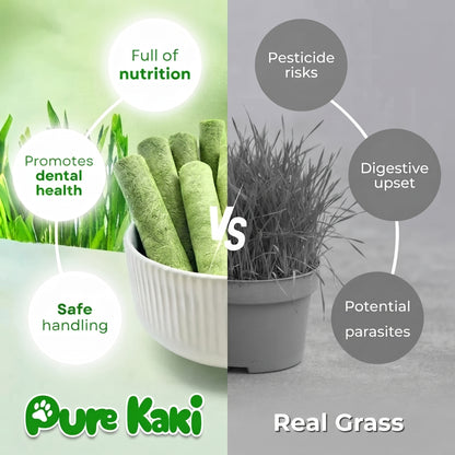Dog Grass Sticks
