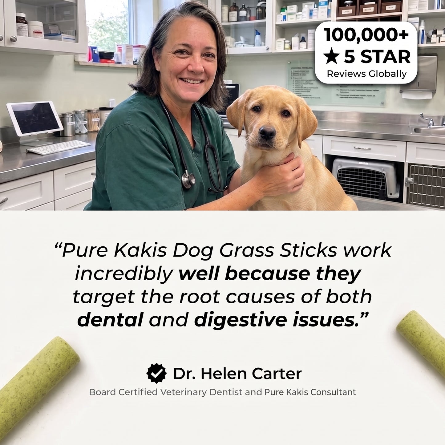 Dog Grass Sticks