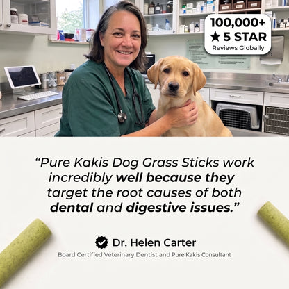 Dog Grass Sticks