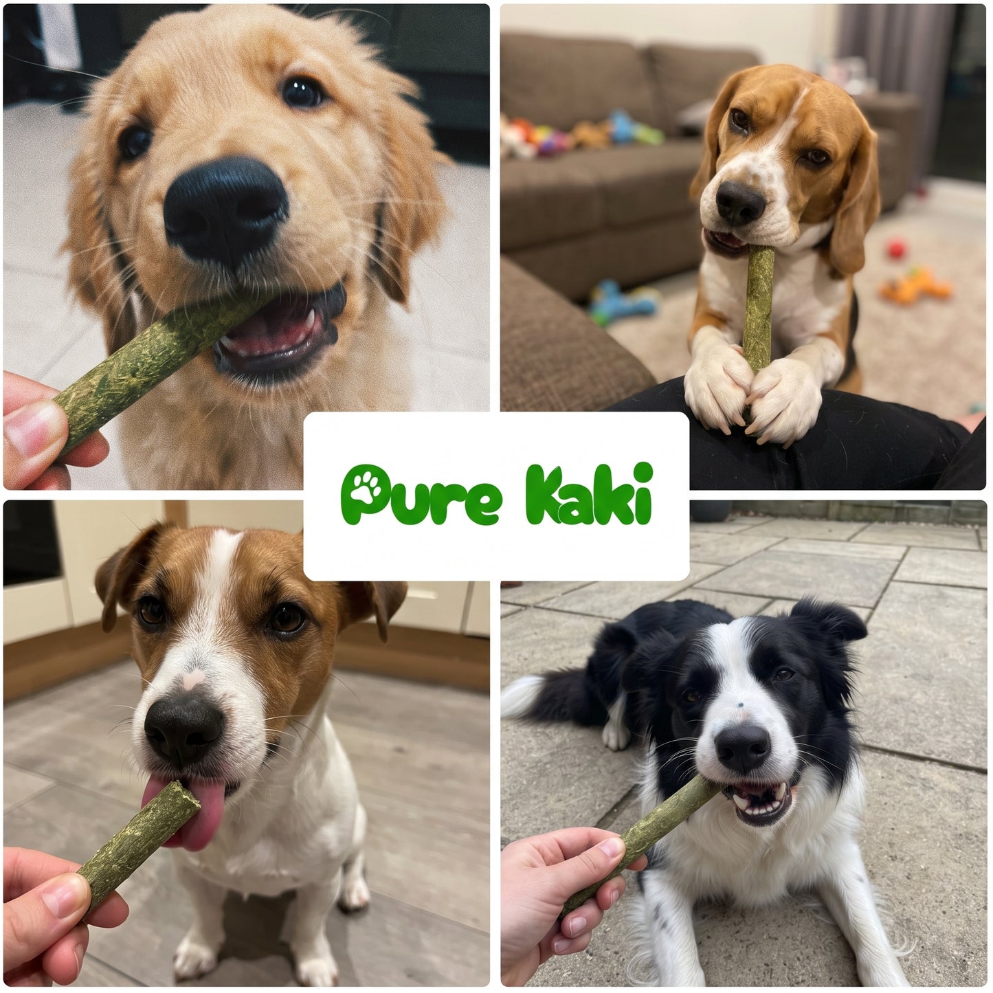 Dog Grass Sticks