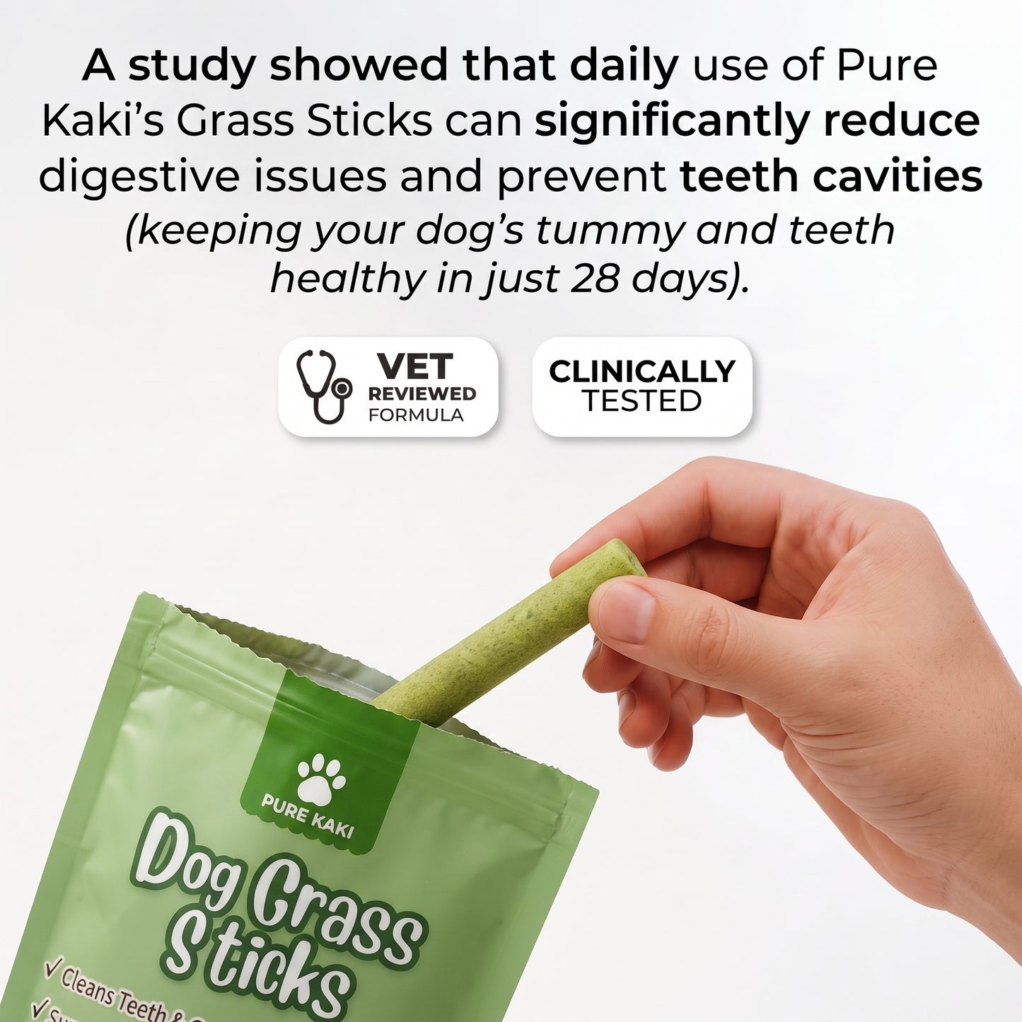 Dog Grass Sticks
