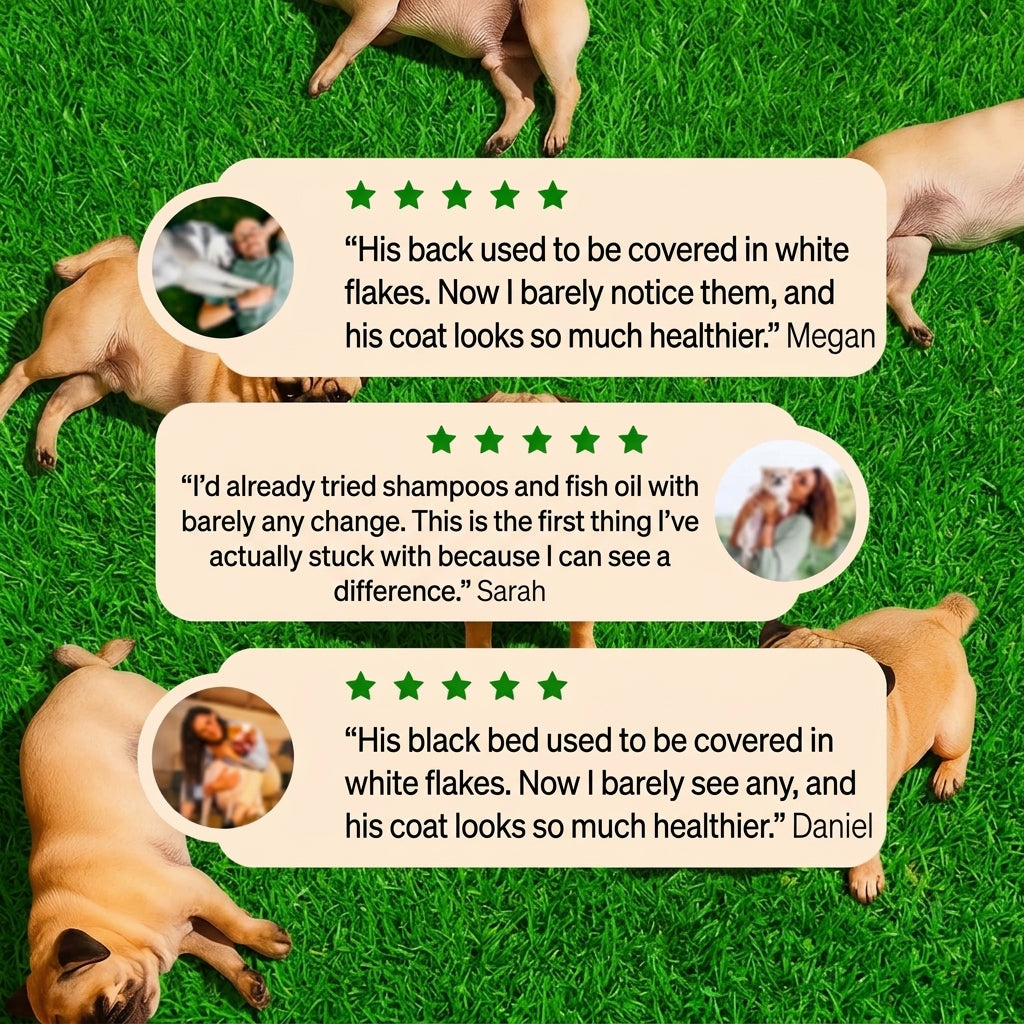 Give Your Dog What They Actually Need - Pure Kaki Grass Sticks