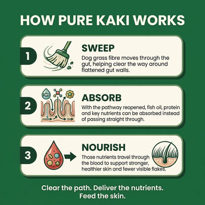 Give Your Dog What They Actually Need - Pure Kaki Grass Sticks