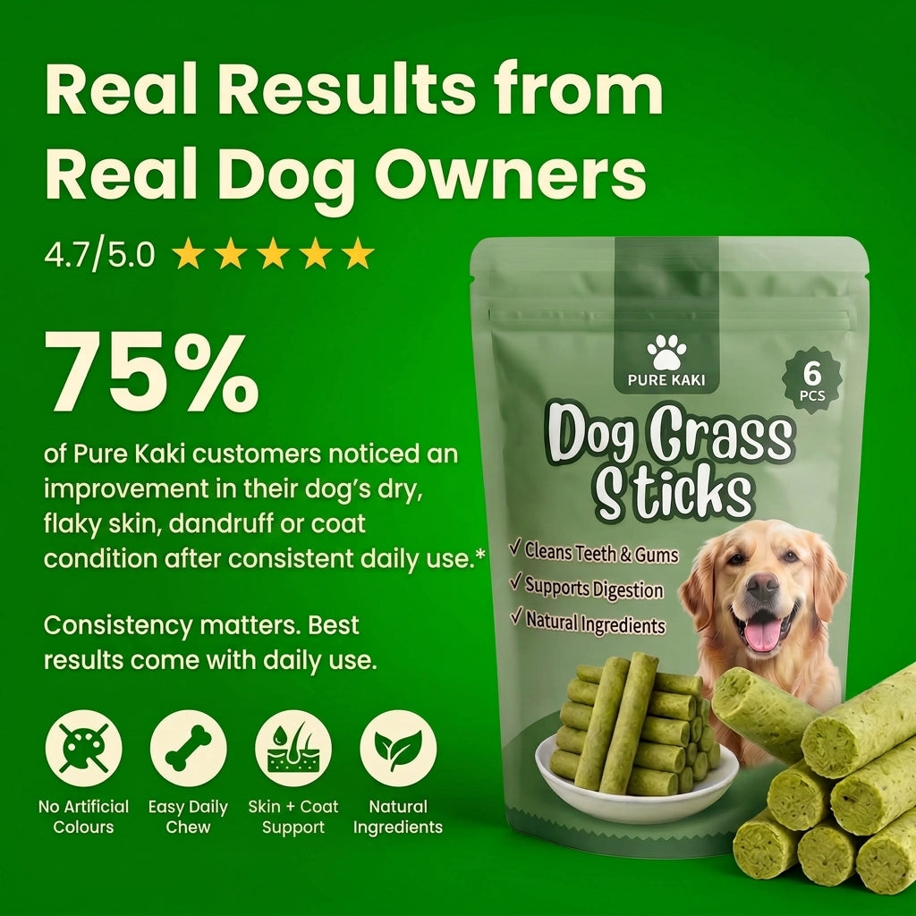 Give Your Dog What They Actually Need - Pure Kaki Grass Sticks
