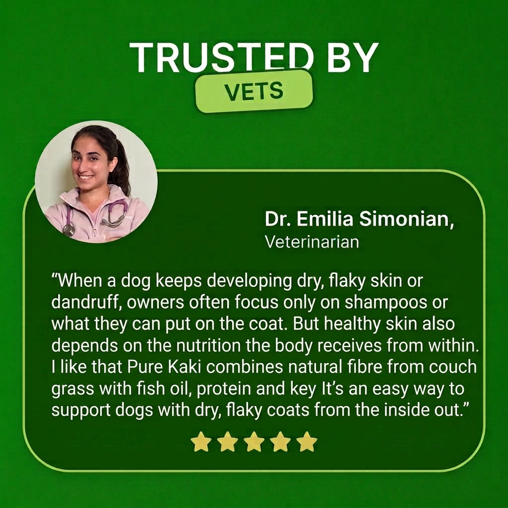 Give Your Dog What They Actually Need - Pure Kaki Grass Sticks