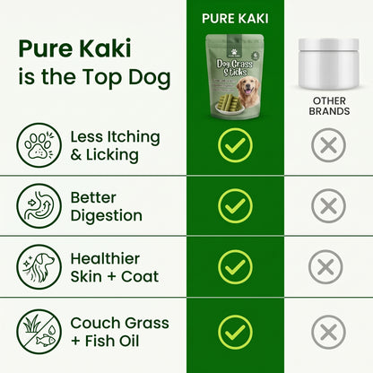 Give Your Dog What They Actually Need - Pure Kaki Grass Sticks